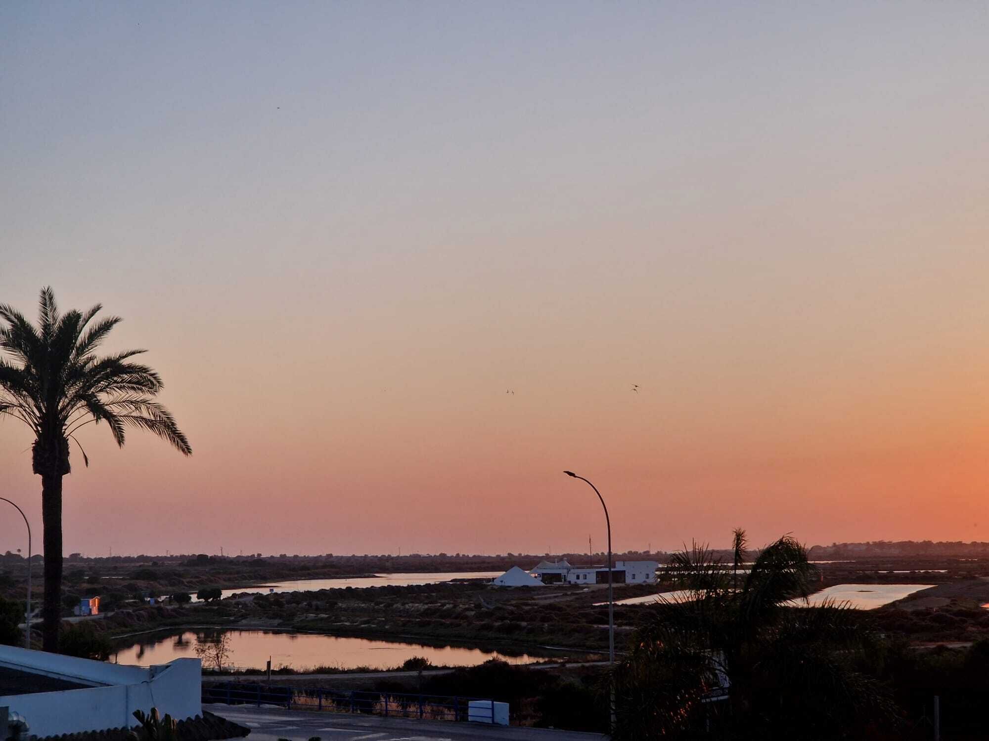 A sunset view with a body of water, palm trees, and buildings in the distance.