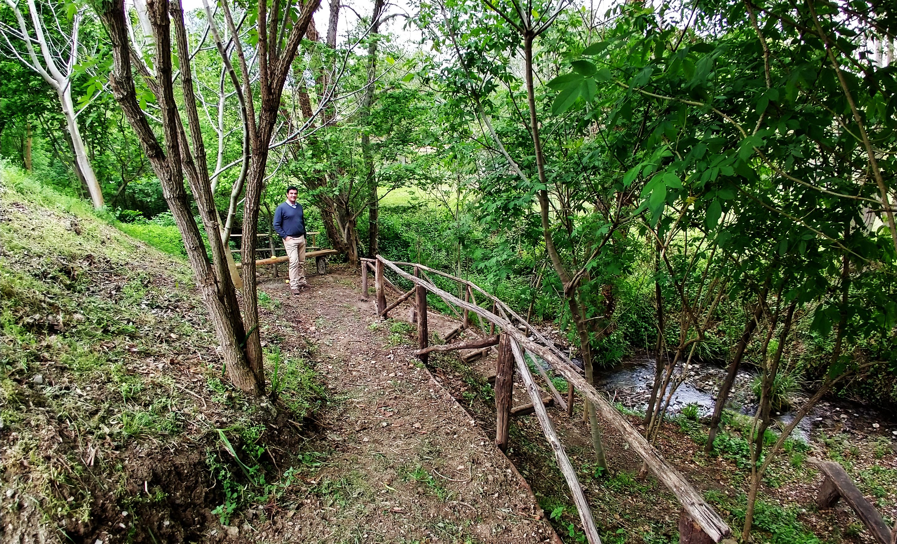 Un puente de madera en un área boscosa con una persona de pie sobre él.