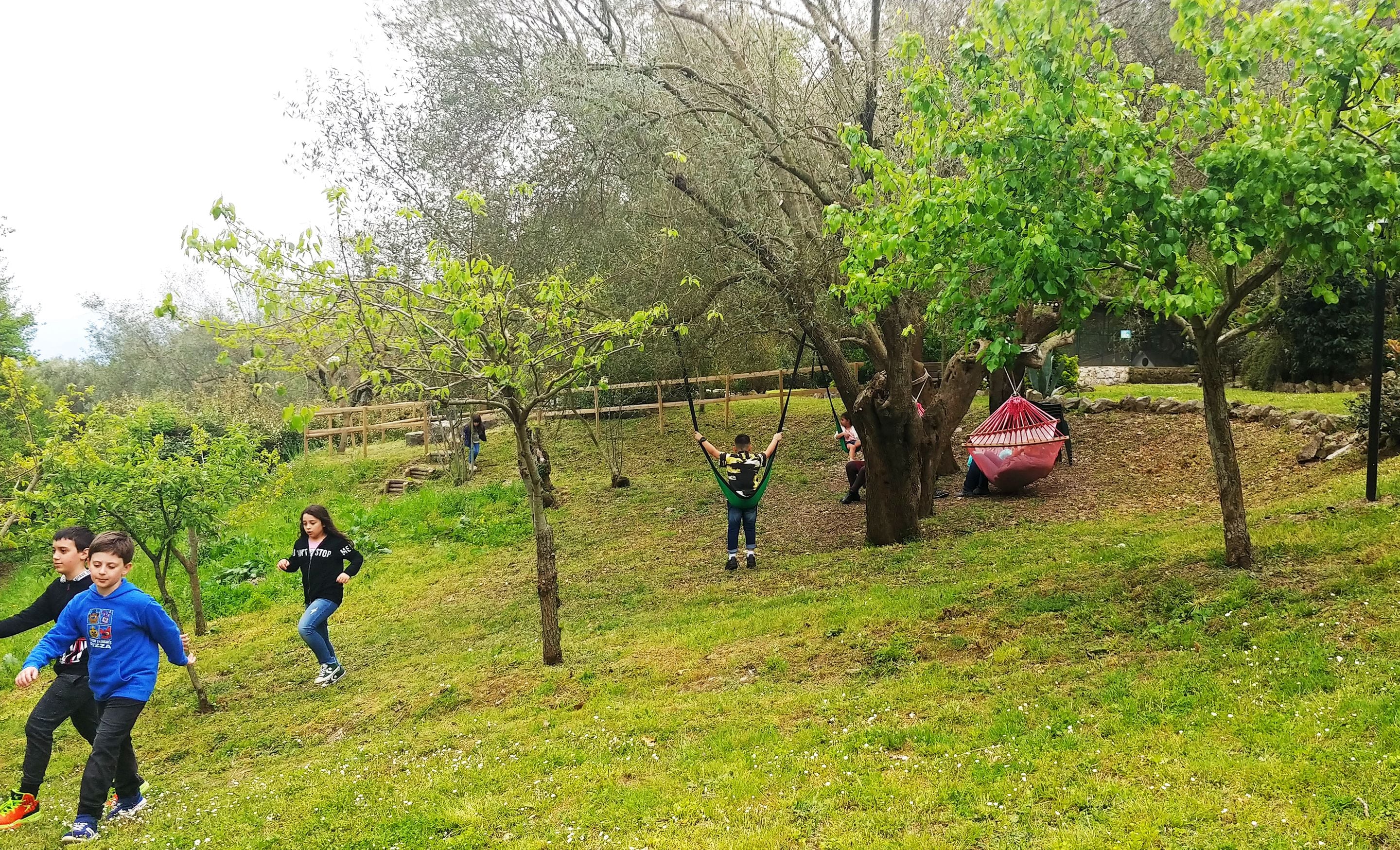 Un parque con árboles, un arenero y una silla colgante roja.
