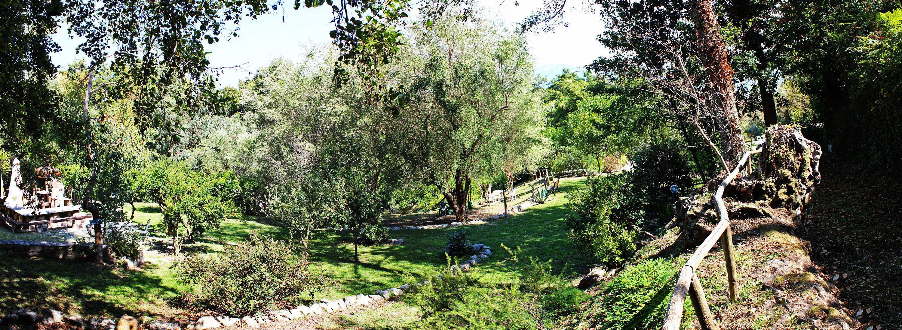 A lush garden with a variety of trees and shrubs, a wooden deck, and a stone pathway.