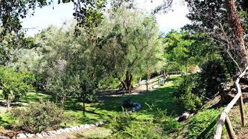A lush garden with a variety of trees and shrubs, a wooden deck, and a stone pathway.