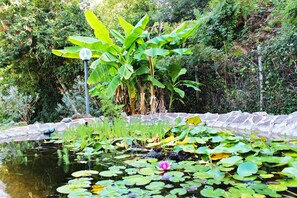 Property grounds - Verdeblu House (San Giovanni a Piro)