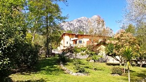 A house with a stone pathway leading to the entrance, surrounded by lush greenery and a mountain in the background. - Verdeblu House (San Giovanni a Piro)