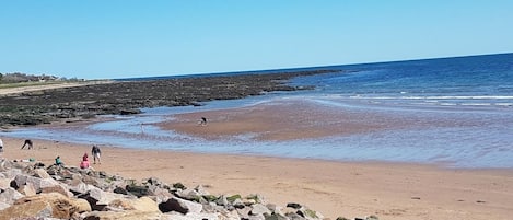 Una spiaggia nelle vicinanze