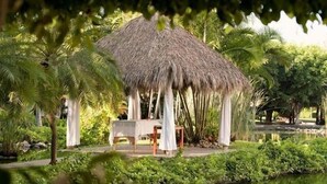 Hot stone massages, Swedish massages, facials - Sunset Suite 1BR Vallarta (Puerto Vallarta)