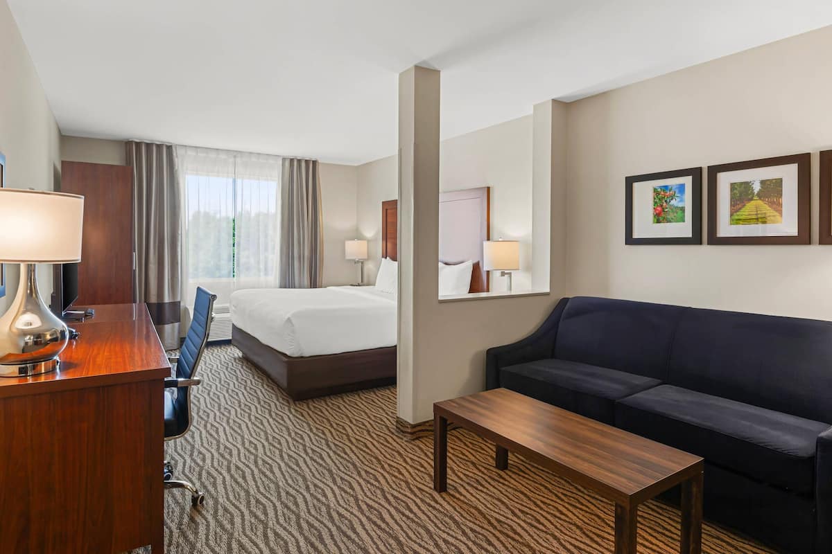 Suite, 1 très grand lit et 1 canapé-lit, non-fumeur | Bureau, rideaux d’obscurcissement, fer et planche à repasser
