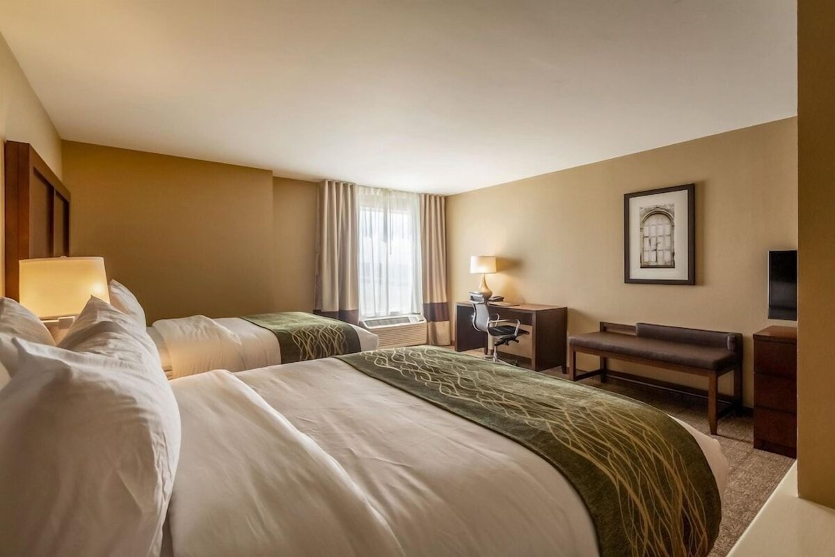 A hotel room with two beds, a desk, a chair, a bench, and a framed picture on the wall.