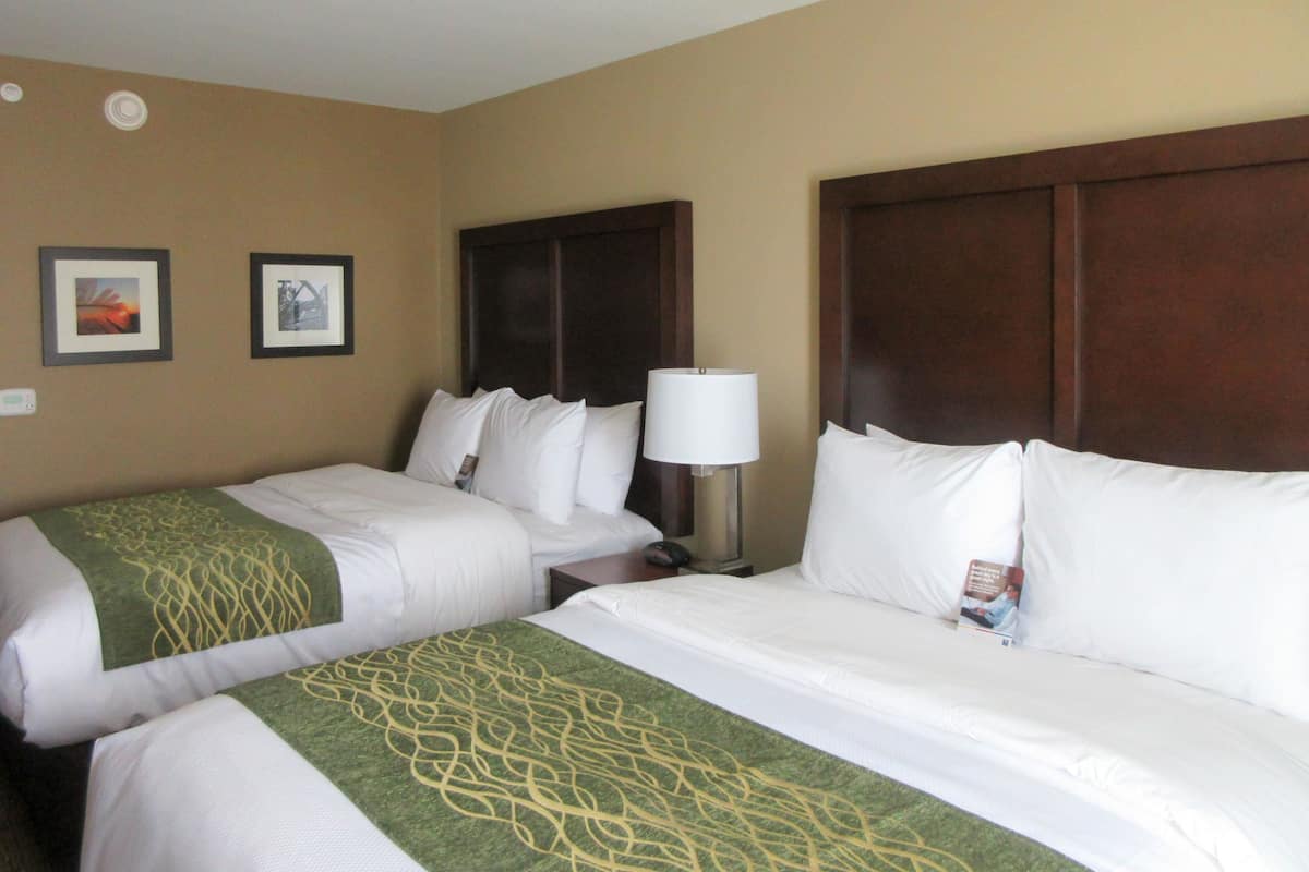 A hotel room with two beds, a nightstand, a lamp, and framed pictures on the wall.