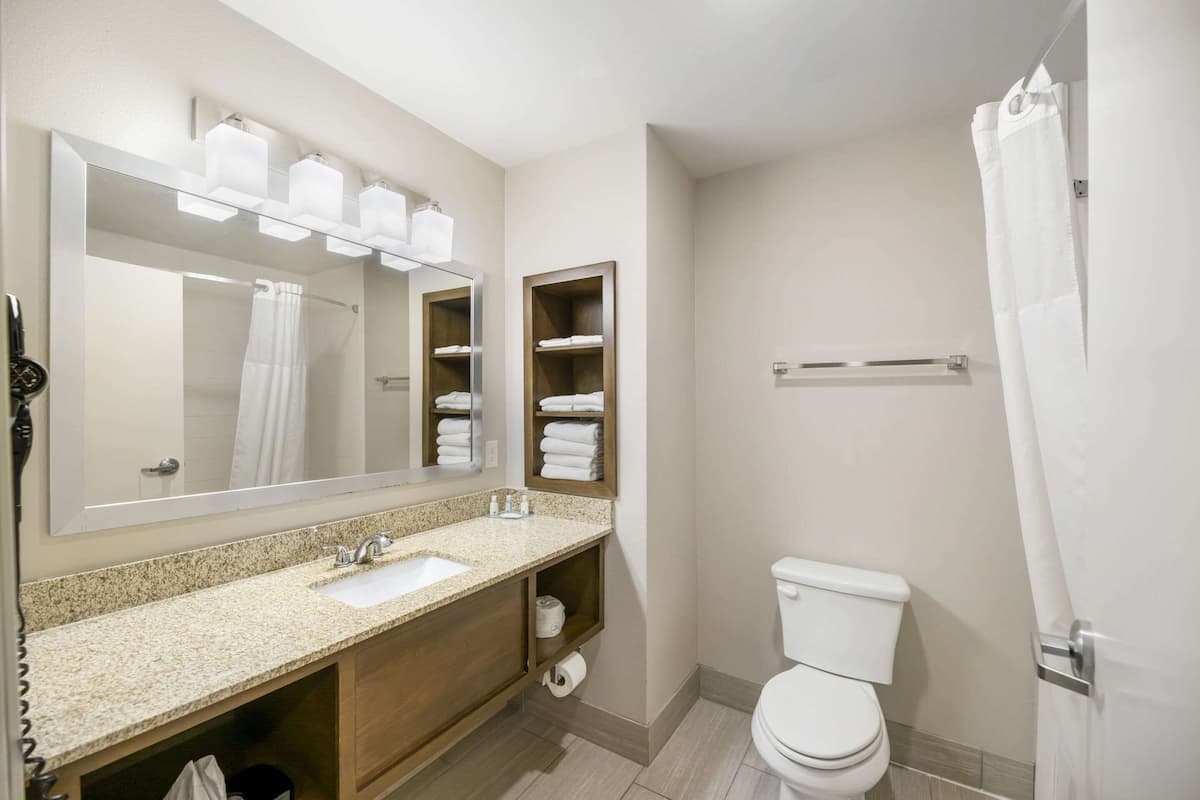 standard room, 1 king bed, non smoking | premium bedding, desk, laptop workspace, blackout curtains