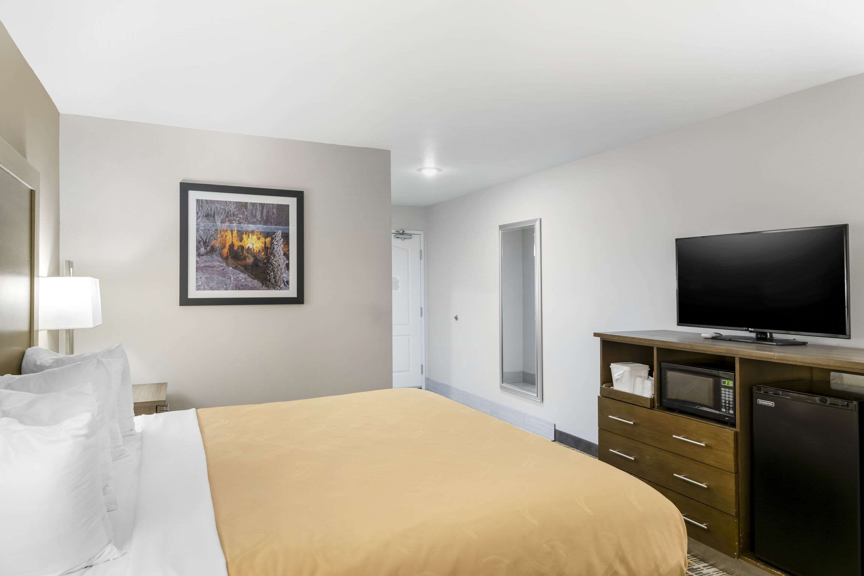 A hotel room with a bed, a television, a microwave, and a refrigerator.