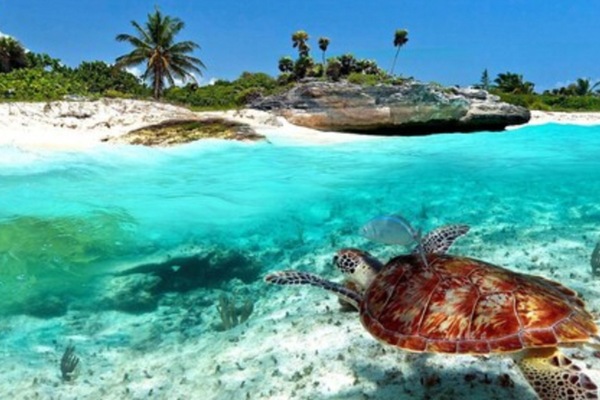 Beach nearby, white sand