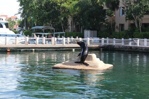 Una estatua de delfín sobre una plataforma de hormigón en un puerto deportivo, con barcos y edificios al fondo.