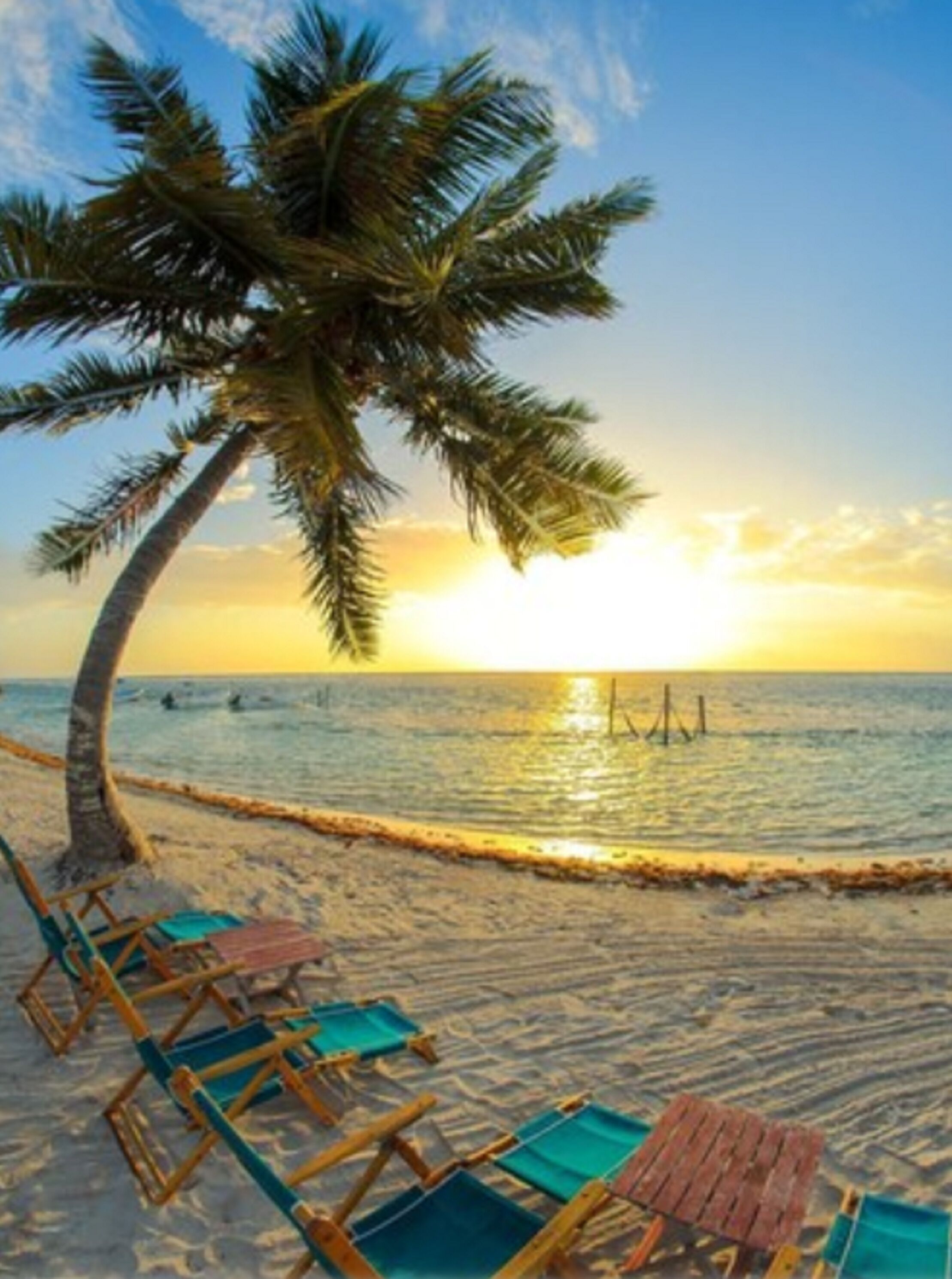 Une plage avec un palmier, des chaises longues et un coucher de soleil sur l’océan.