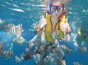 Children's activities - Baru Puerto Aventuras (Puerto Aventuras)