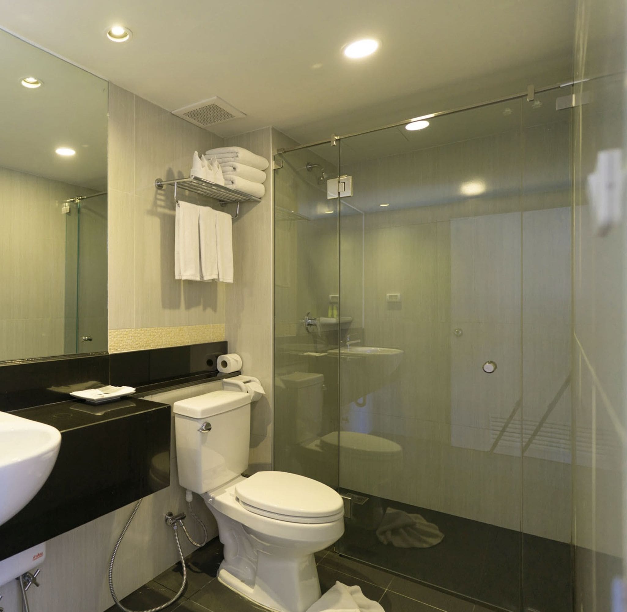 A modern bathroom with a glass-enclosed shower, a toilet, and a sink.