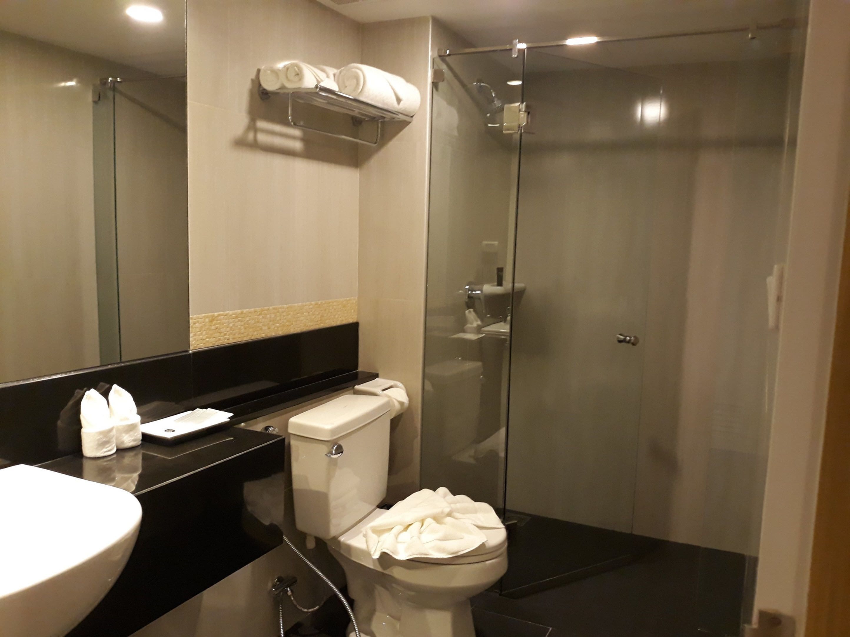 Et moderne badeværelse med en glasafskærmet brusekabine, toilet og en vask med sort bordplade.