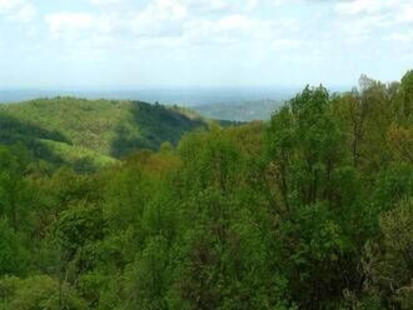 2BR/2BA located 1 mile from O'ber Gatlinburg and Gatlinburg Bypass.