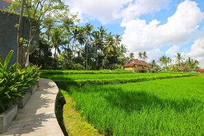 Property grounds - Toya Villa Suweta (Ubud)