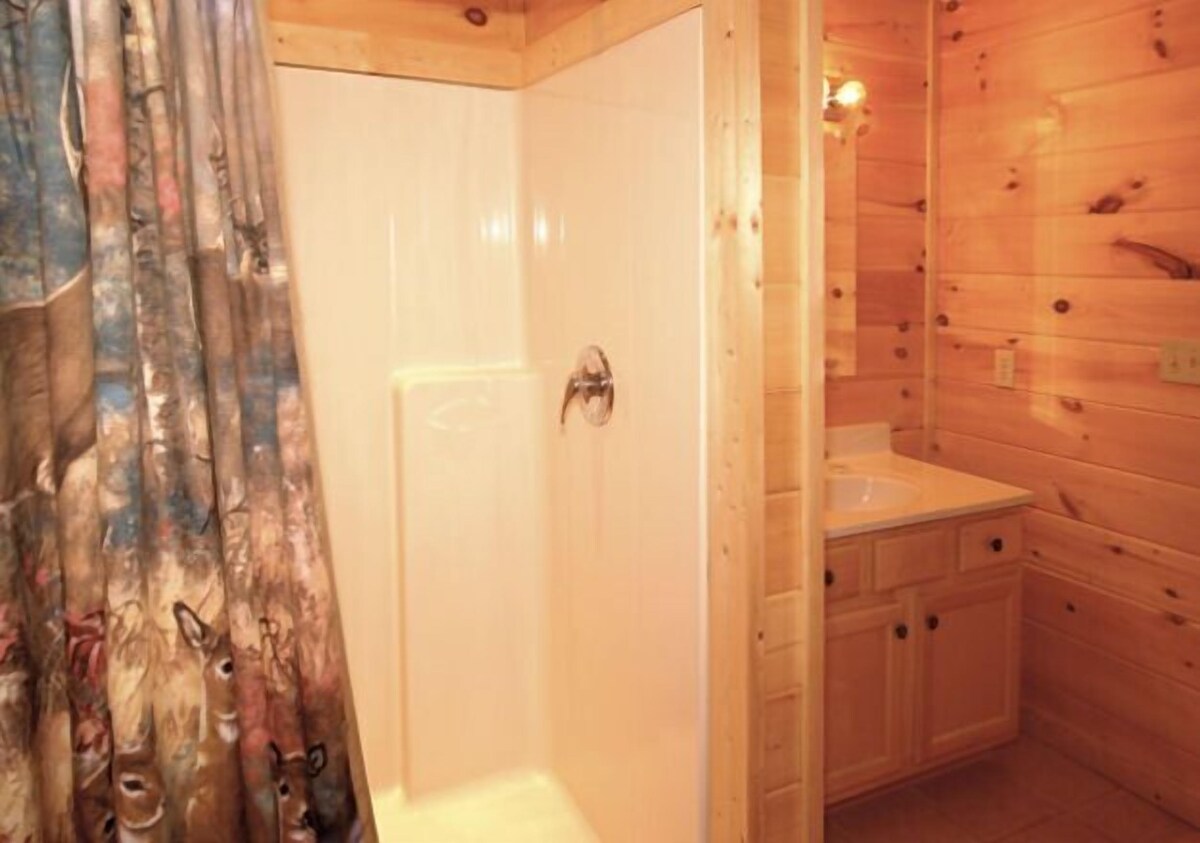 Photo 41 of Book NOW and receive tickets to Dollywood, Anakeesta and many more