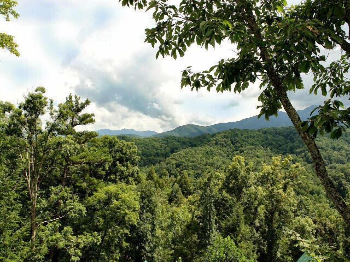 Photo 35 of You'll have the views in this 3 BR/3 BA true log chalet with 2200 square feet and all the amenities.