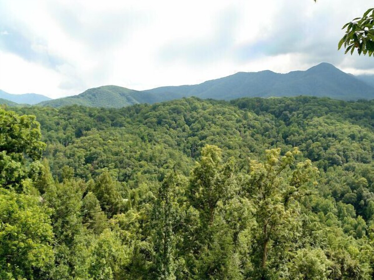 Photo 29 of You'll have the views in this 3 BR/3 BA true log chalet with 2200 square feet and all the amenities.