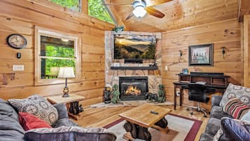 Télévision, cheminée, lecteur de DVD