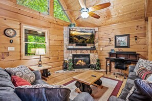 TV, fireplace, DVD player