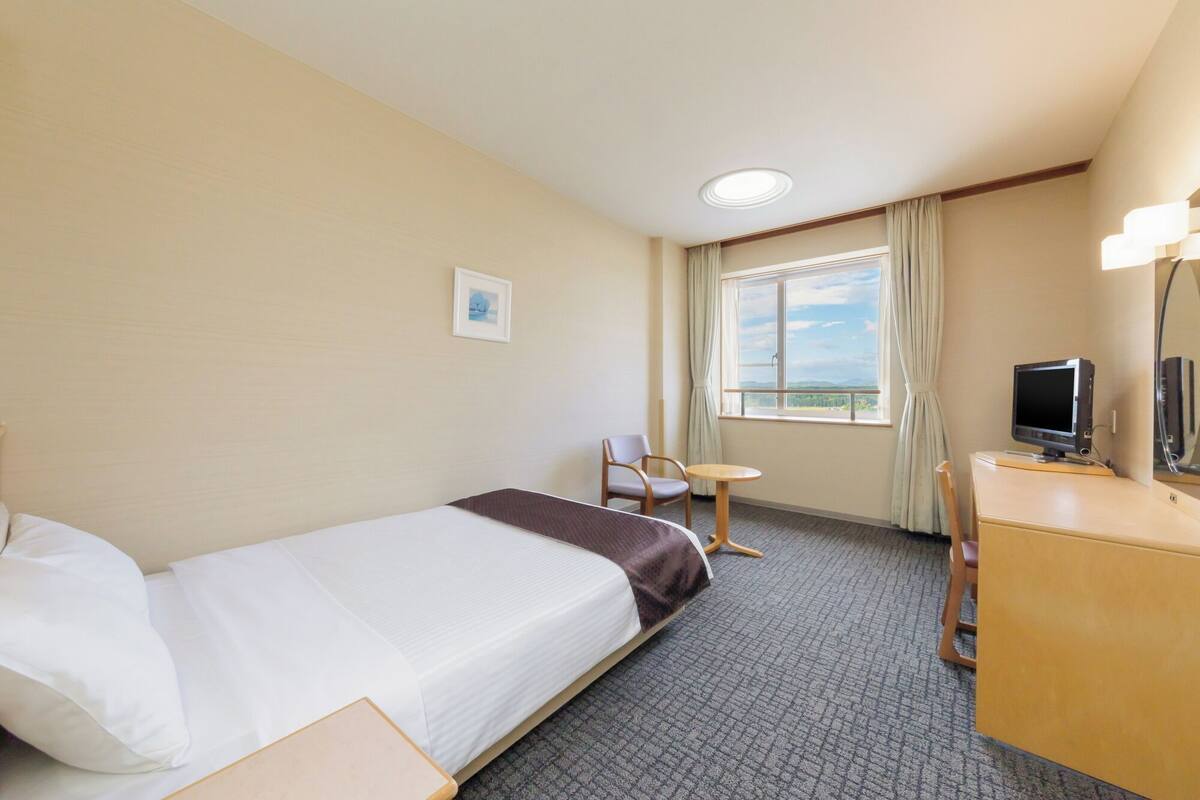 Una habitación de hotel con cama, escritorio, silla, televisor y ventana con vistas.