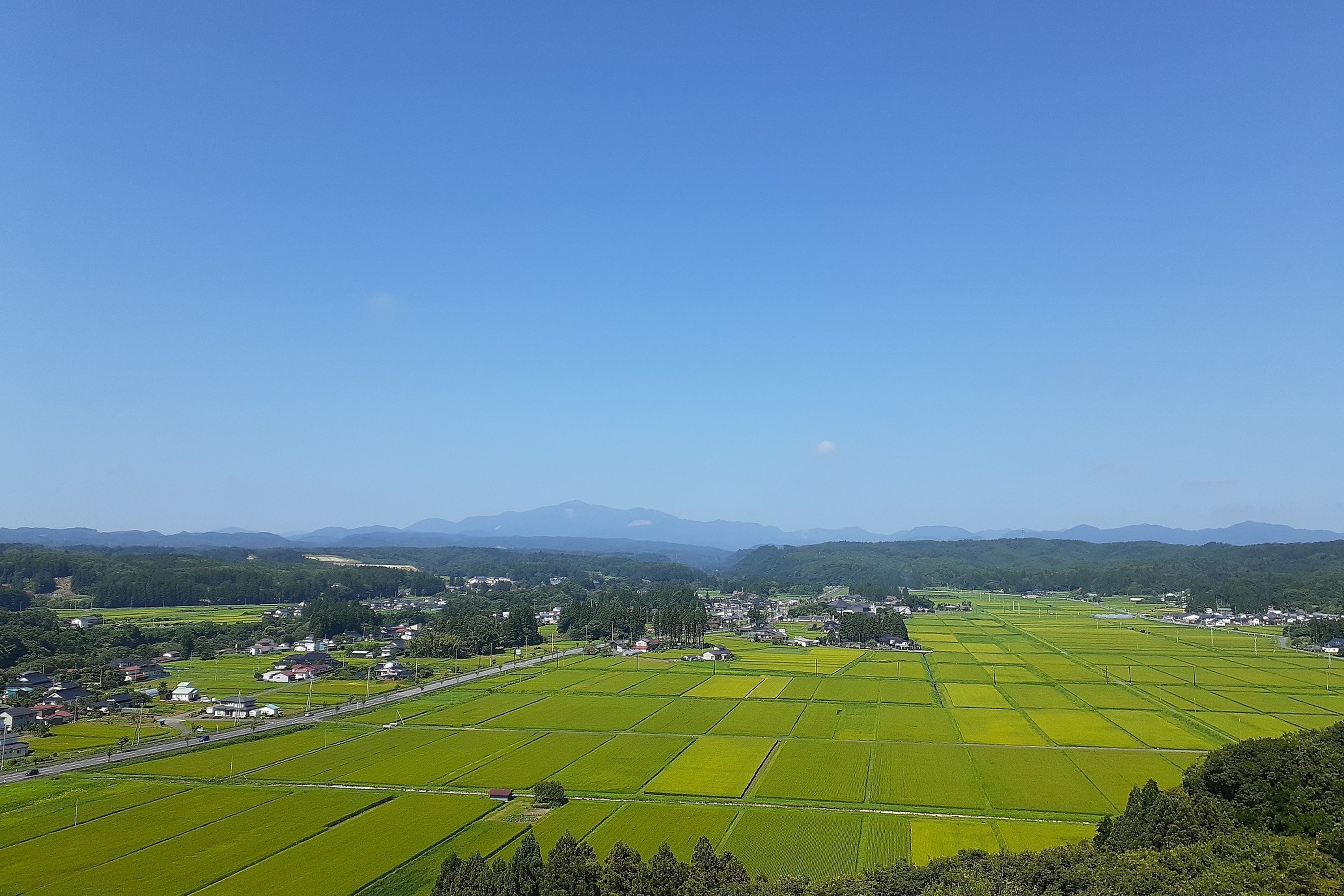 A rural landscape with green fields, a few buildings, and mountains in the background.