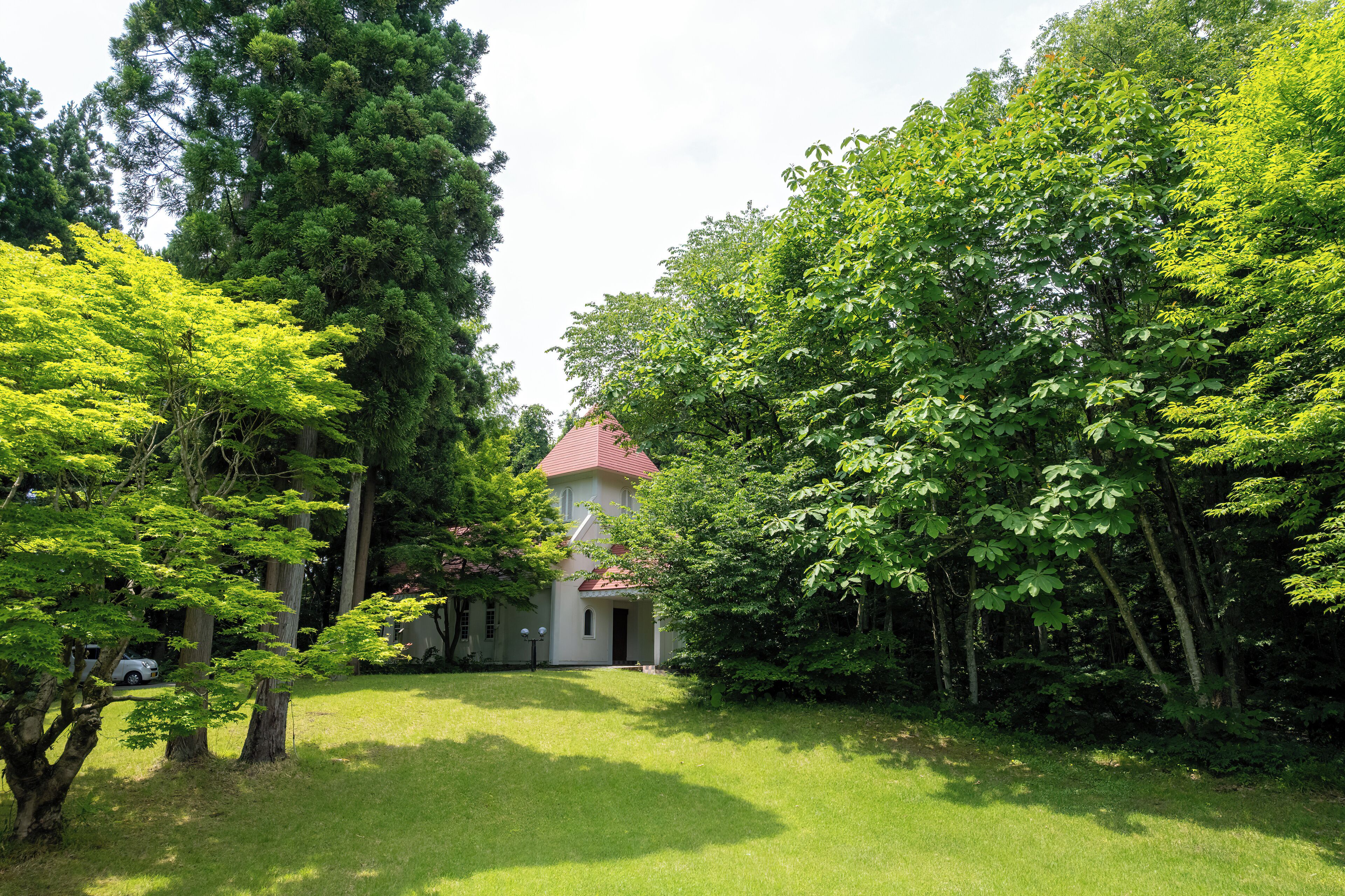 A house surrounded by lush greenery, with a well-maintained lawn and tall trees.