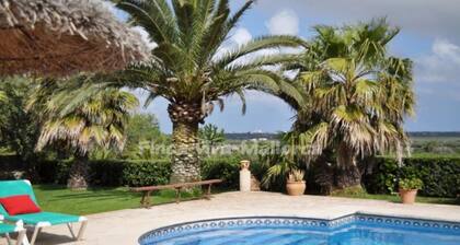 Rustic House in Mallorca close to SantanyĂ