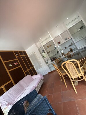 TV connectée, cheminée, livres, chaßne hi-fi