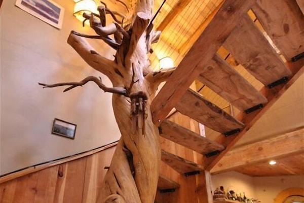 800 year old Juniper Tree Spiral Stair Case with myrtle wood treads