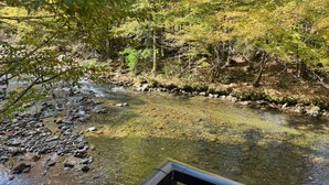 Una vista despejada de un río con rocas y árboles al fondo.