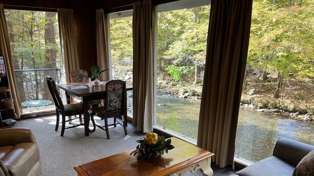 Una sala de estar acogedora con vistas a un arroyo y un bosque.
