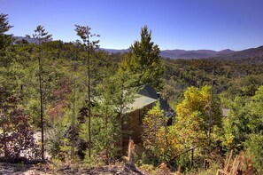 Una cabaña en un área boscosa con montañas al fondo.
