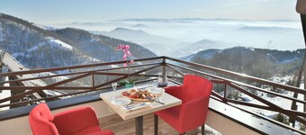 Apartments Dvori Kopaonik