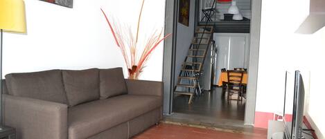 TV, DVD player, books