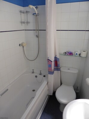 Une salle de bain avec une baignoire, des toilettes et une douche.