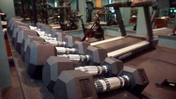 A gym with a treadmill, dumbbells, and exercise equipment.