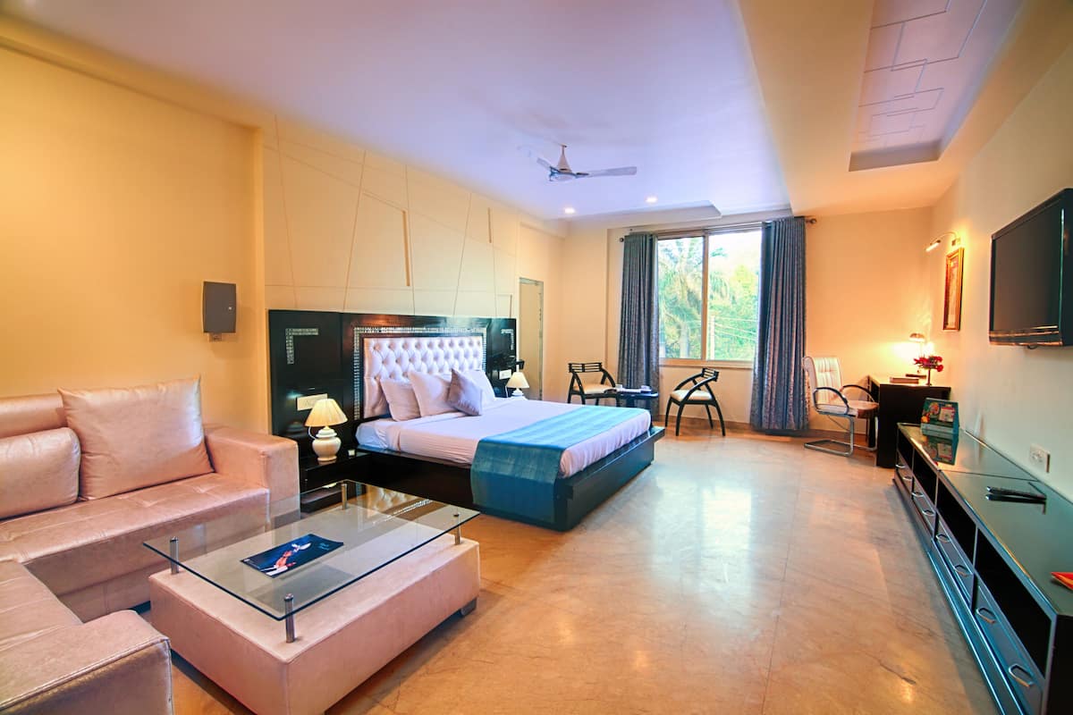 Premium Suite