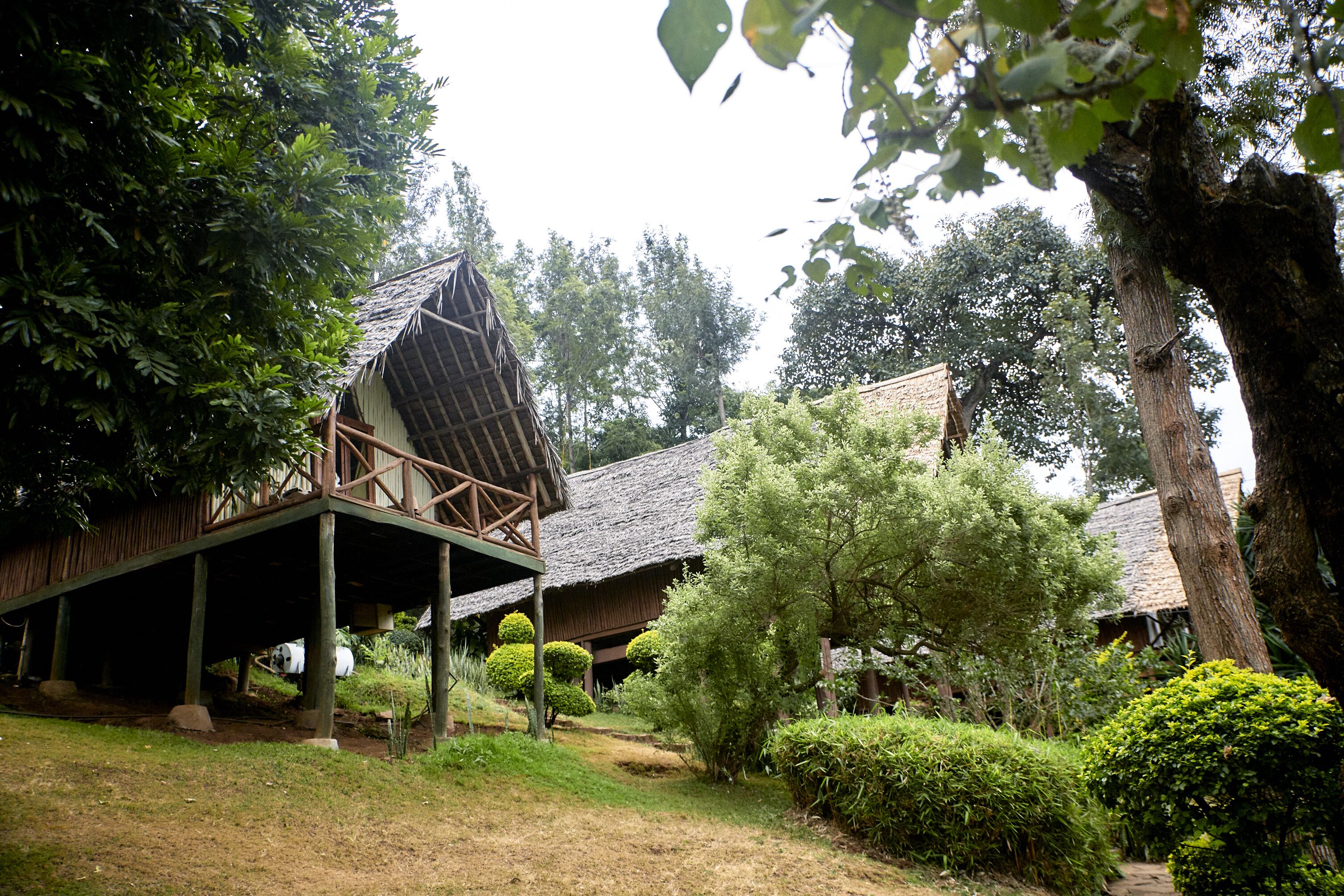 Vue sur le jardin