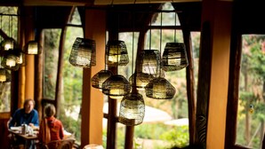 A restaurant interior with hanging wire lamps, wooden furniture, and large windows offering a view of greenery outside.