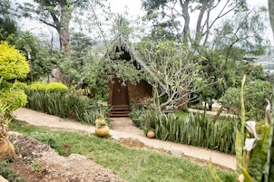 Un jardín con una estructura de madera, diversas plantas y un sendero.