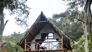 A rustic wooden house with a thatched roof, surrounded by lush greenery and a small garden.