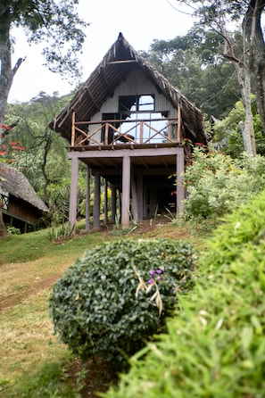 Vista para o jardim