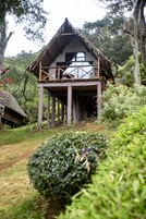 Vista al jardín