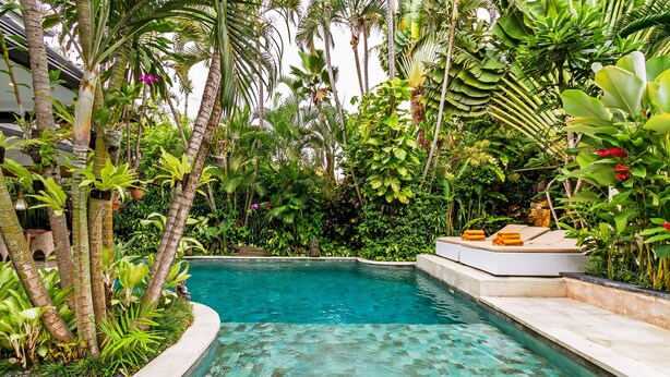 Una piscina rodeada de exuberante vegetación tropical y palmeras.