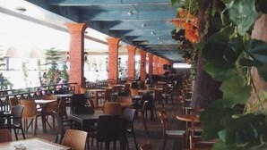 Un comedor interior con mesas y sillas, techo con ventiladores y pared de ladrillo con plantas.