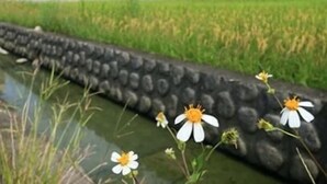施設からの眺望